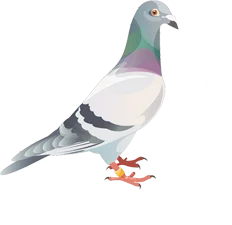 Royal Pigeon Racing Association
