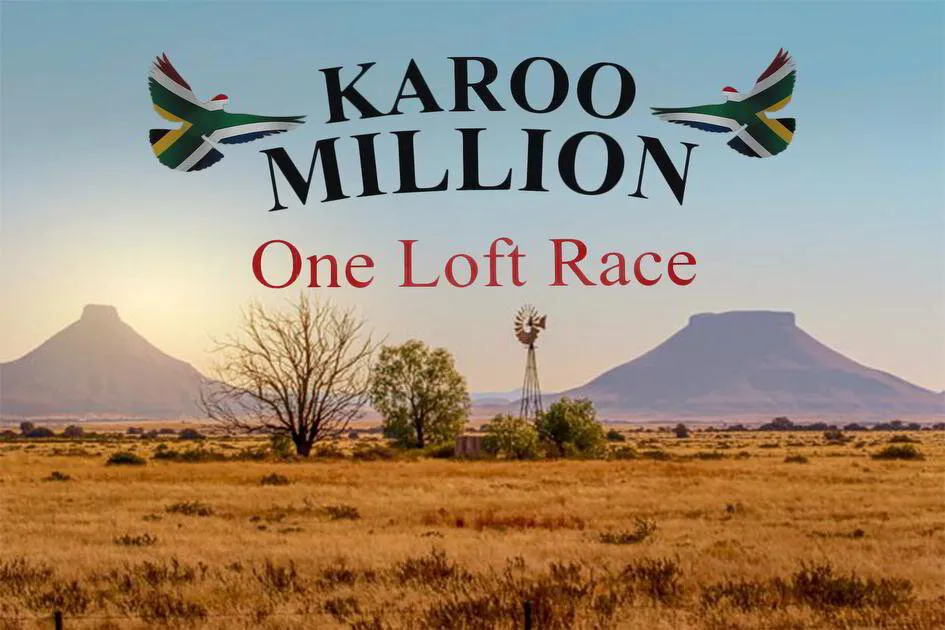 Karoo Million One Loft Race (KM-OLR)